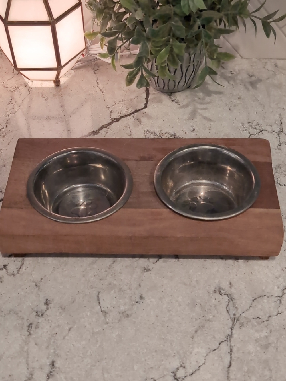 Pet Bowl Set